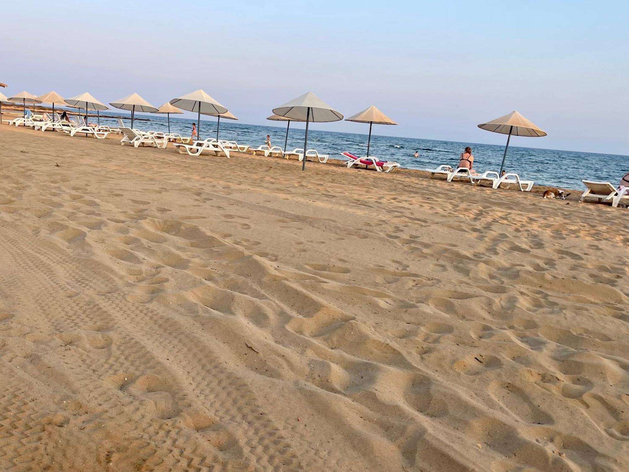 Sweetness Apartment By The Sea Vokolidha المظهر الخارجي الصورة