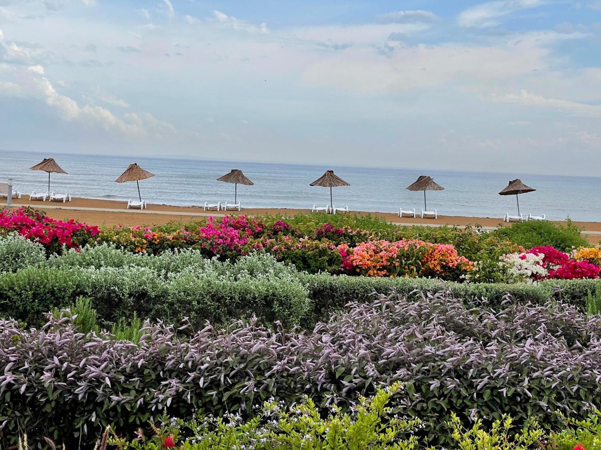 Sweetness Apartment By The Sea Vokolidha المظهر الخارجي الصورة