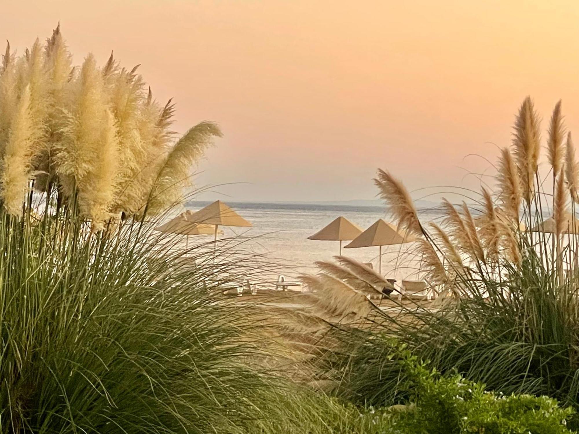 Sweetness Apartment By The Sea Vokolidha المظهر الخارجي الصورة
