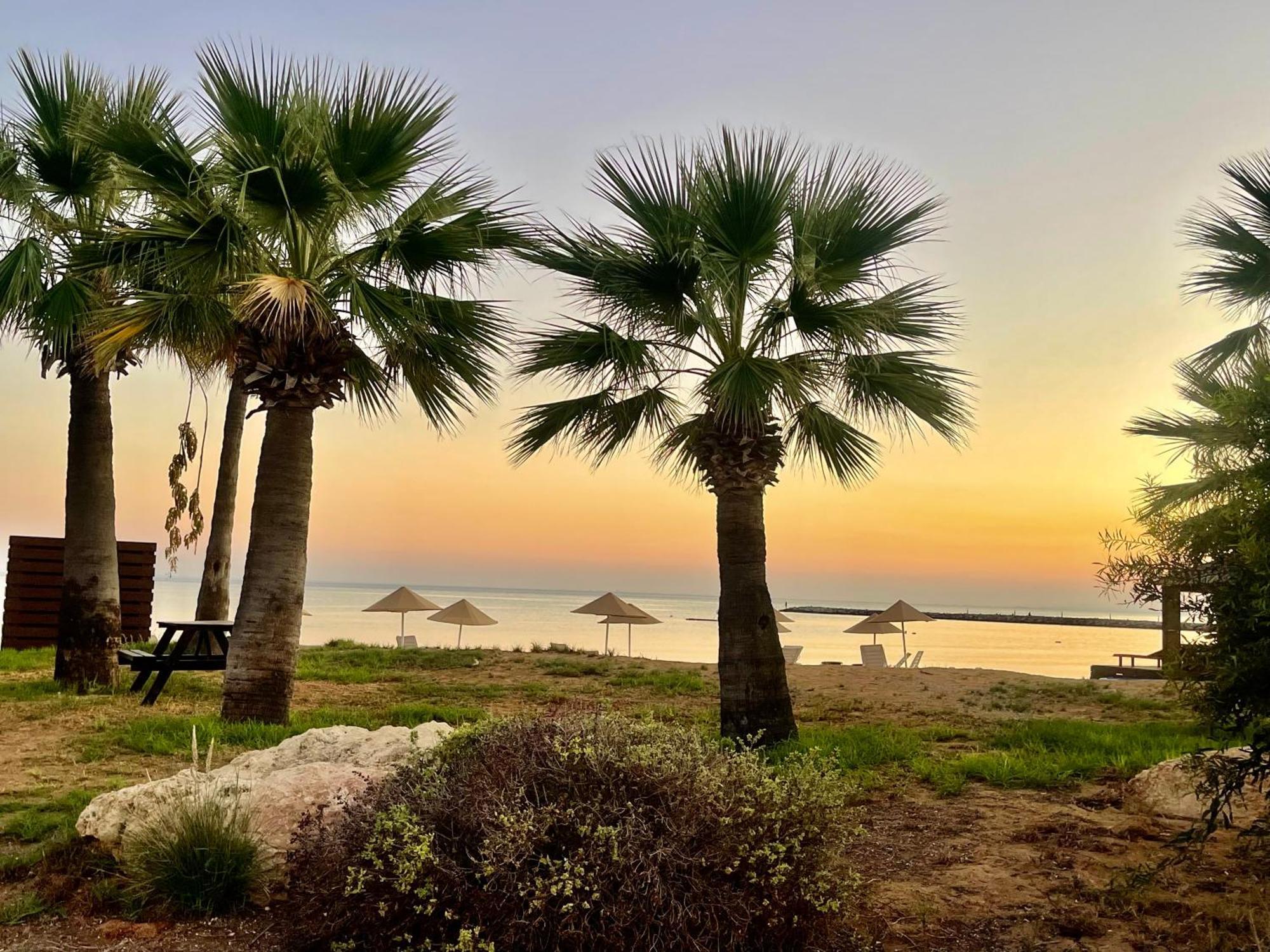 Sweetness Apartment By The Sea Vokolidha المظهر الخارجي الصورة